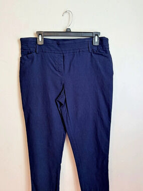 Jules & Leopold Women's Skinny Pants Blue XL (16)